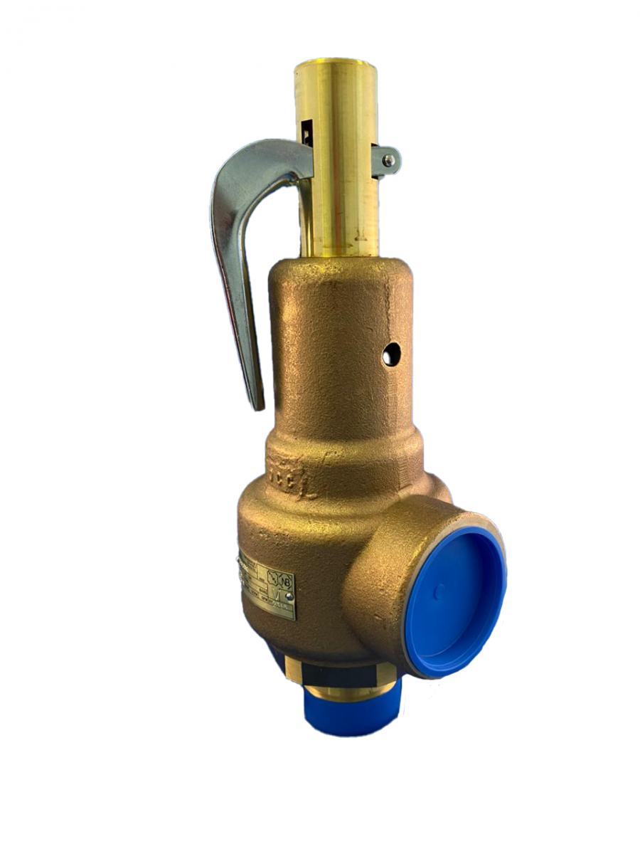 VALVULA DE SEGURIDAD VAPOP-AIRE-GAS  2x2-1/2 125 PSI 9,210 LB-HR
